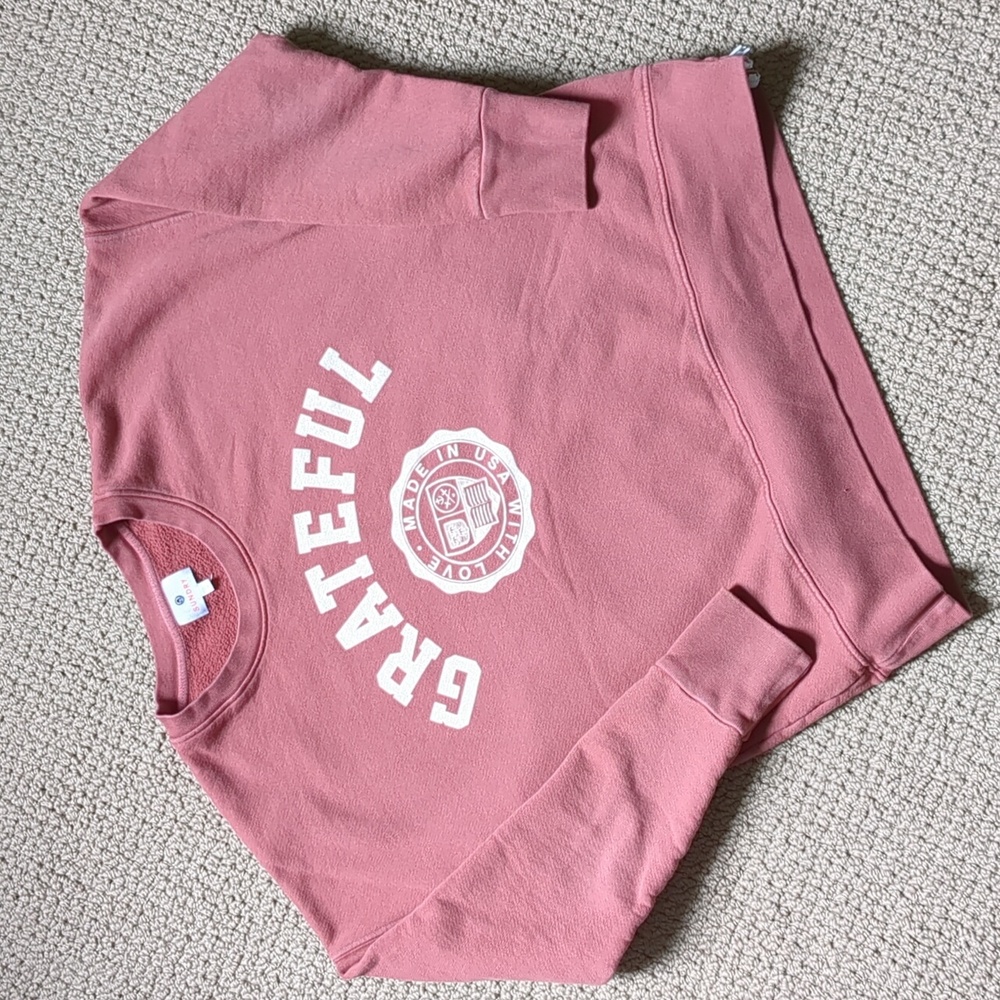 Sundry Anthropologie Brick Grateful Crew neck Sweatshirt